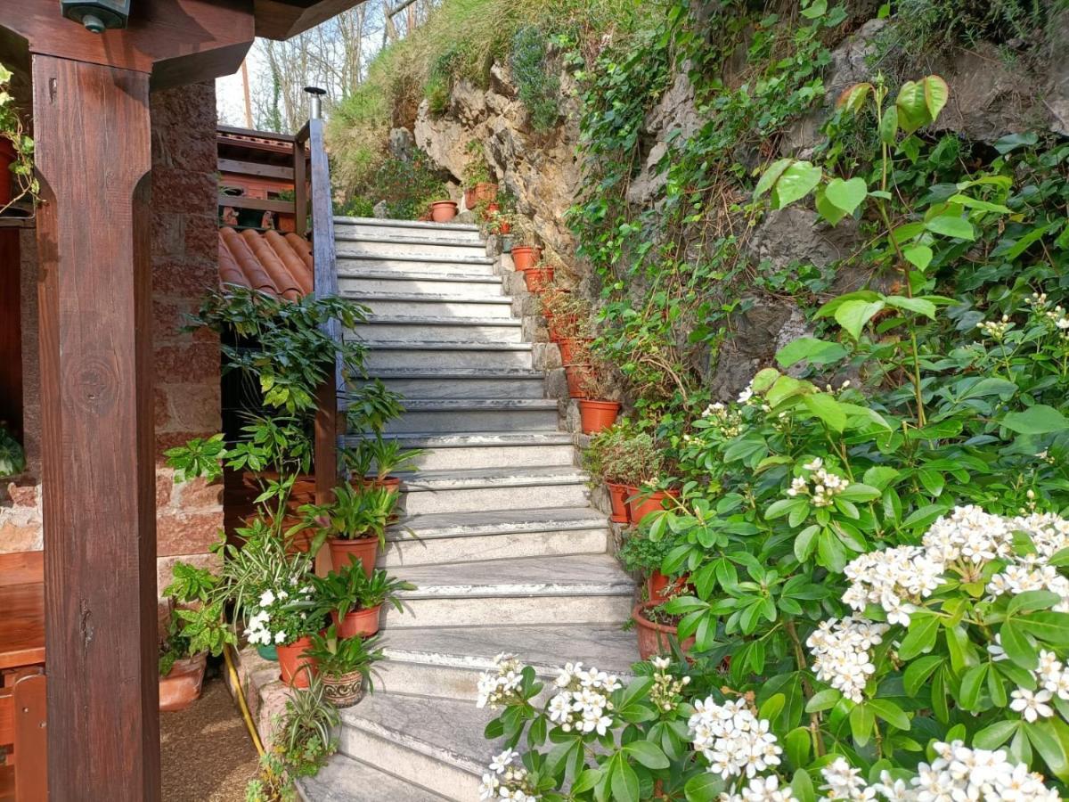La Salmonera Cangas De Onis Caño エクステリア 写真