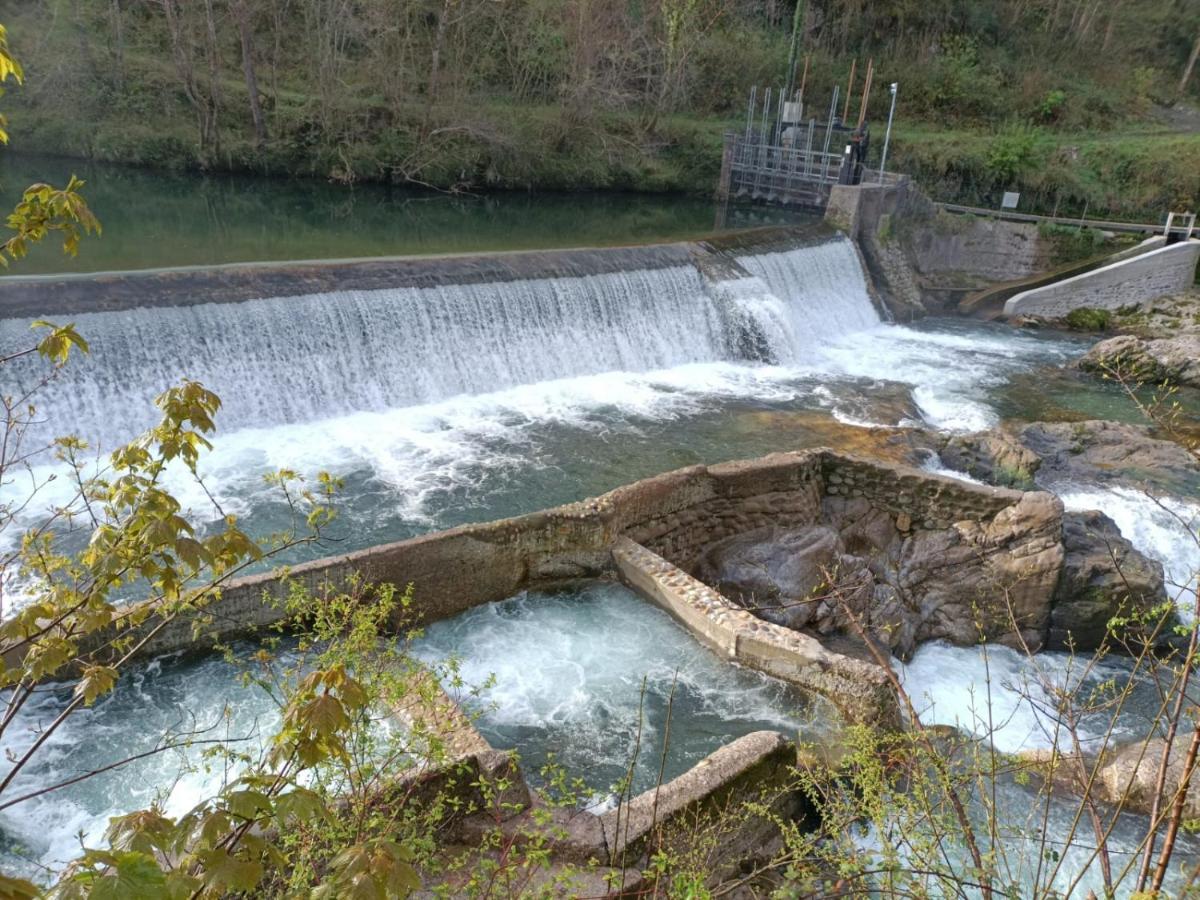 La Salmonera Cangas De Onis Caño エクステリア 写真