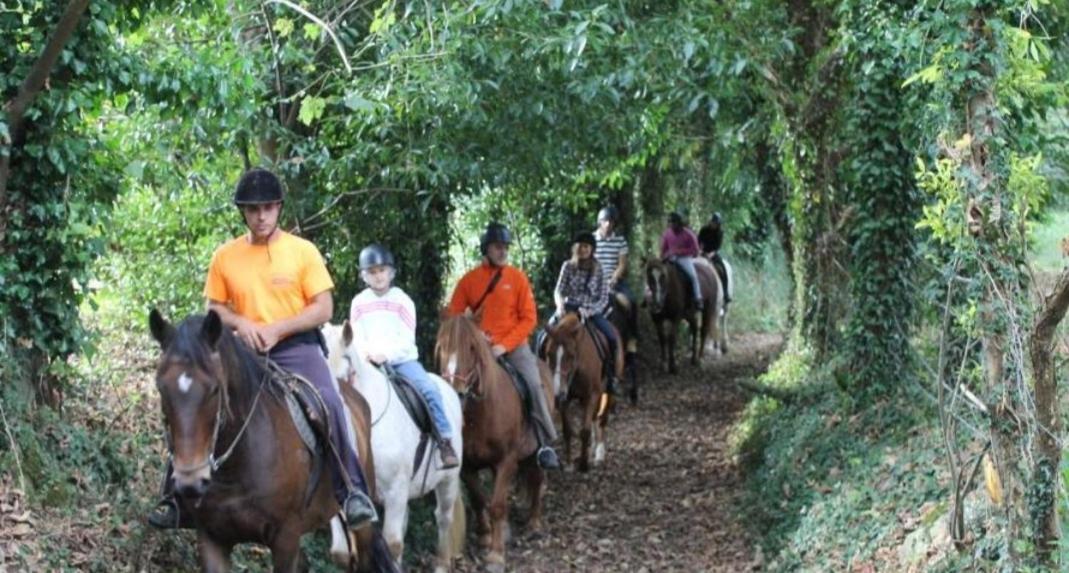 La Salmonera Cangas De Onis Caño エクステリア 写真