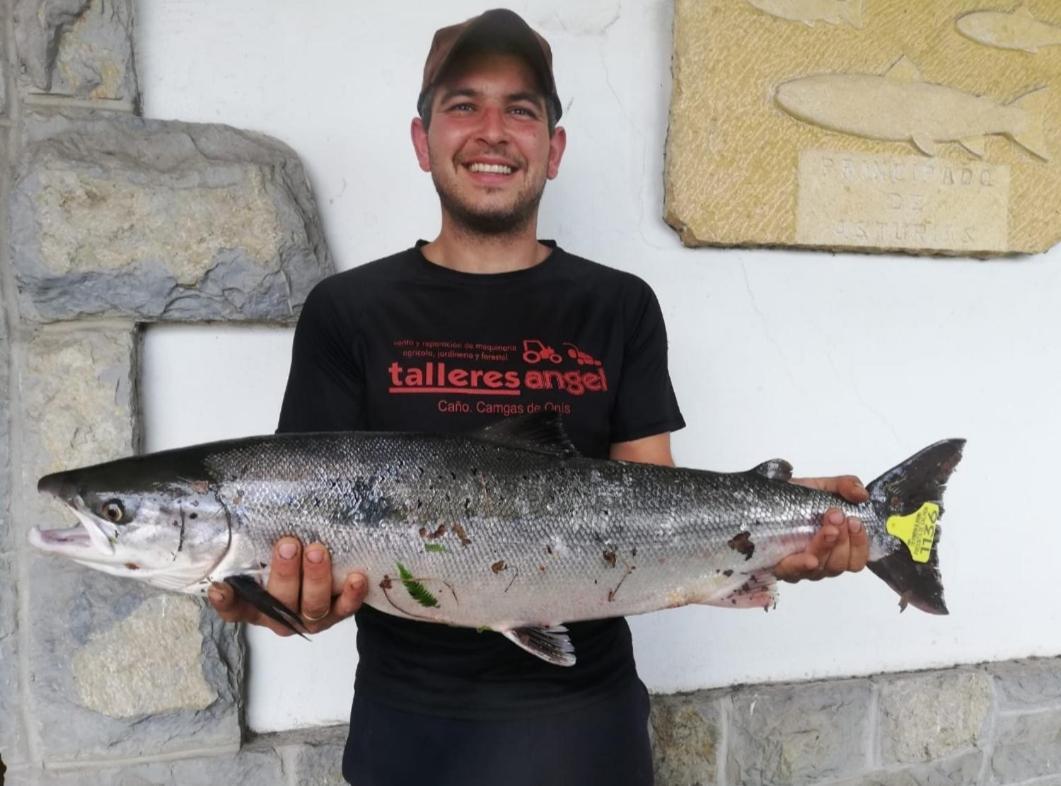 La Salmonera Cangas De Onis Caño エクステリア 写真
